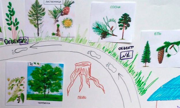 Экологический проект «Экологическая тропа в детском саду»