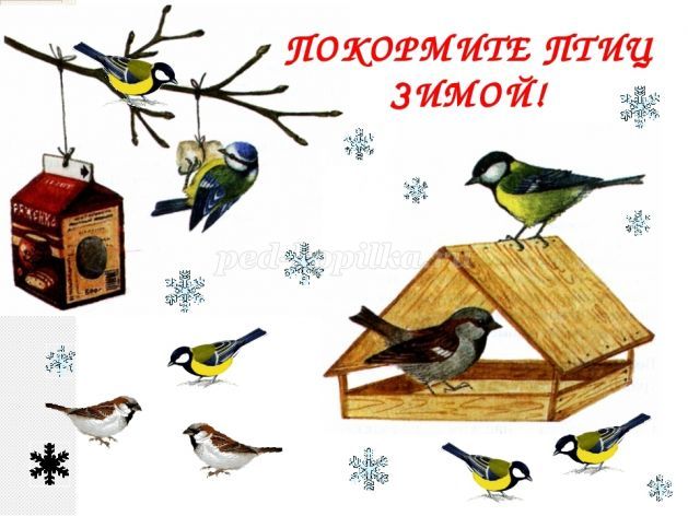 Проект для детей 4-6 лет "Покормите птиц зимой!"
