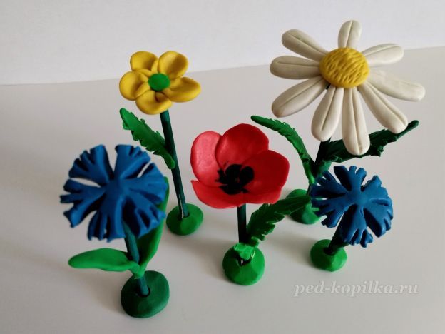 Полевые цветы из пластилина поэтапно с фото для детей