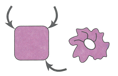 фиалки своими руками