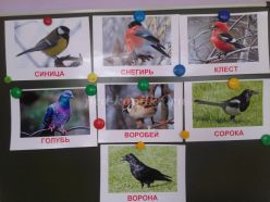 Конспект занятия в средней группе на тему: «Покормите птиц зимой, будут песни петь весной»