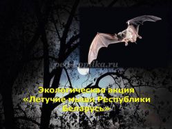 Экологическая акция «Летучие мыши Республики Беларусь»